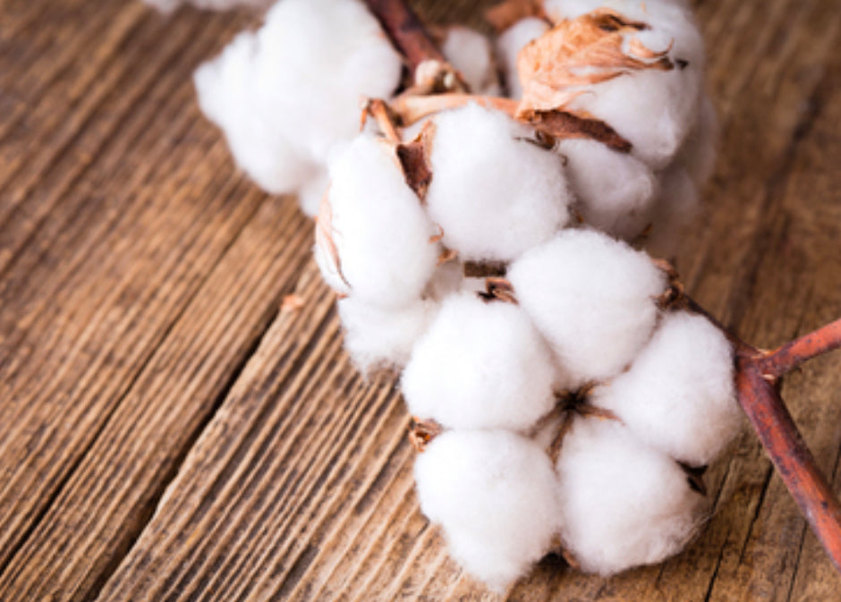 Coton bio vs coton conventionnel
